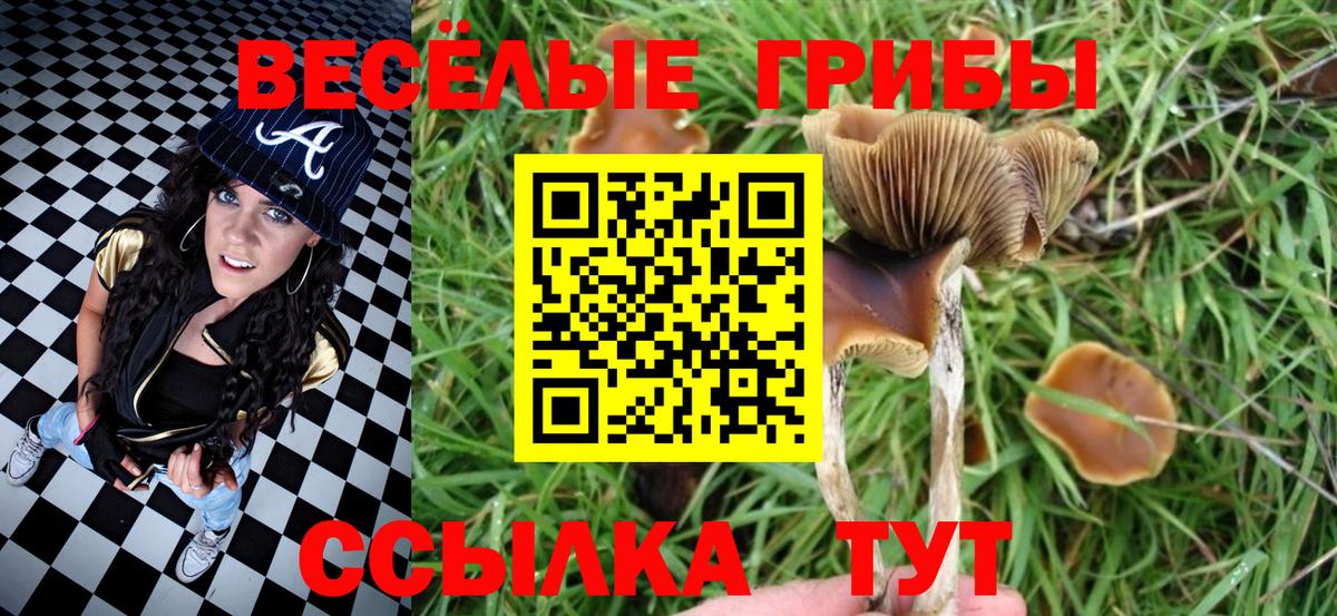 Псилоцибиновые грибы MAGIC MUSHROOMS  Вход с VPN  Азнакаево  Псилоцибиновые грибы ЛСД 